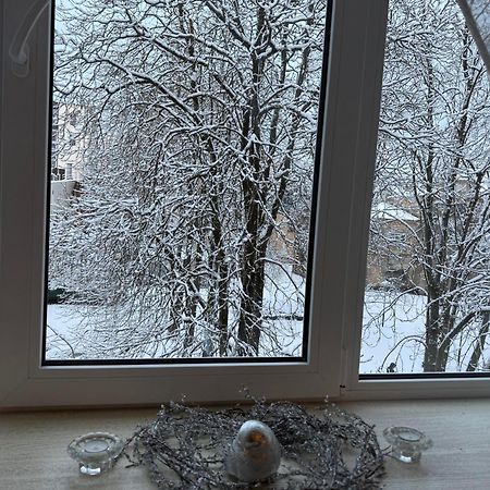 Cozy Studio Apartment In The Center Of Riga Exterior foto